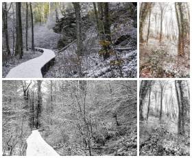 Collage mit Winterfotos