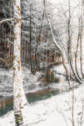 Winter im Müllerthal