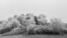 Winterlandschaft mit Rauhreif