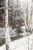 Winter im Müllerthal