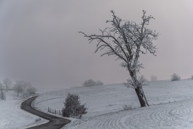 Winter 2024 XVII