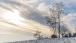 Winter 2024 II
