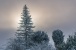 Winter 2024 III