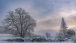 Winter 2024 XIV
