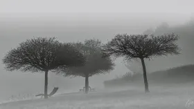 Fog at the rest area