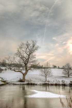 JANFEB16 16