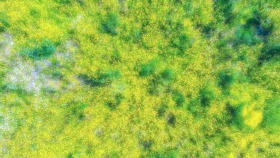 Gelb und grün - Yellow and green