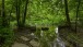 Tümpel - Small Pond