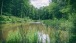 Weiher - Pond