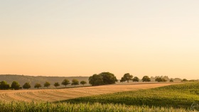 Farmland