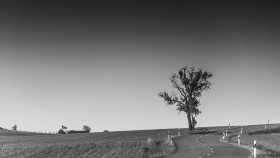 S-shaped countryroad