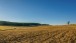 Farmland