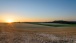 Sonnenuntergang auf der Flur