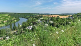 Sommerstimmung an der Mosel