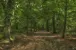 In einem Park bei Hampstead nördlich von London