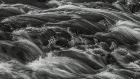 Wilde Wasser