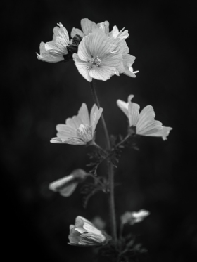 Jun 19 25
