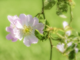 Jun 19 13