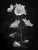 Jun 19 25