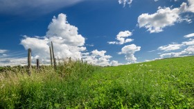 Auf der Flur - Countryside