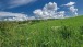 Wiese bei Greiweldingen - Meadow near Greiveldange