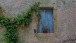 Geschlossenes Fenster mit Dekoration