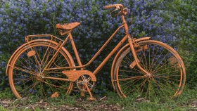 Fahrrad und Blumen