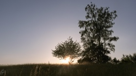 Abendlicht