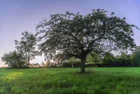 Im Abendlicht
