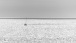 Ein Boot in Gegenlicht