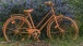 Fahrrad und Blumen
