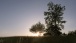 Abendlicht