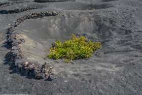 Lanzarote 59