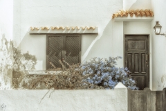 Lanzarote 52