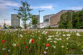 Luxembourg City 111