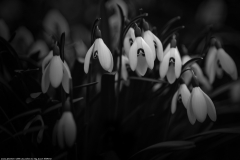 MAR17 07