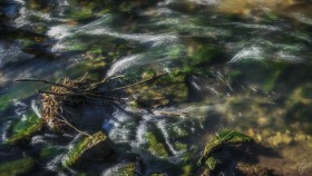 Bach in Stadtbredimus - Creek in Stadtbredimus
