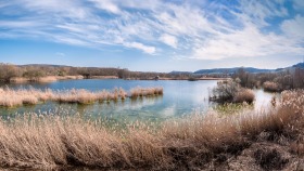 Natur pur - Pure nature