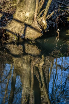 Spiegelung - Reflection