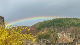 Regenbogen