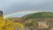 Regenbogen