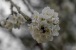 Frühling