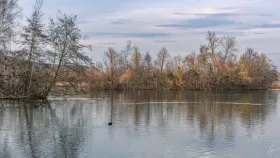 Beim Weiher