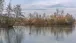 Beim Weiher