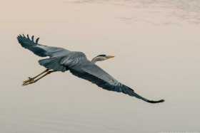 MAY16 12