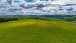 Rapsfeld - Rape field