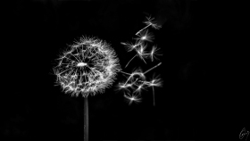 Blown away