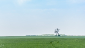 Auf weiter Flur