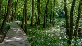 Spazierweg im Müllertal