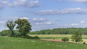 Landschaft bei Gostingen
